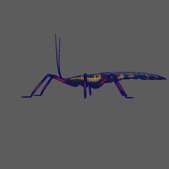 Coreid Bug Nymphs Low-poly 3D model_4