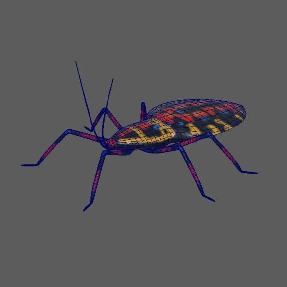 Coreid Bug Nymphs Low-poly 3D model_2