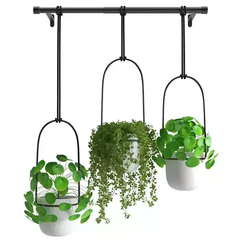 Houseplant 48 3D model