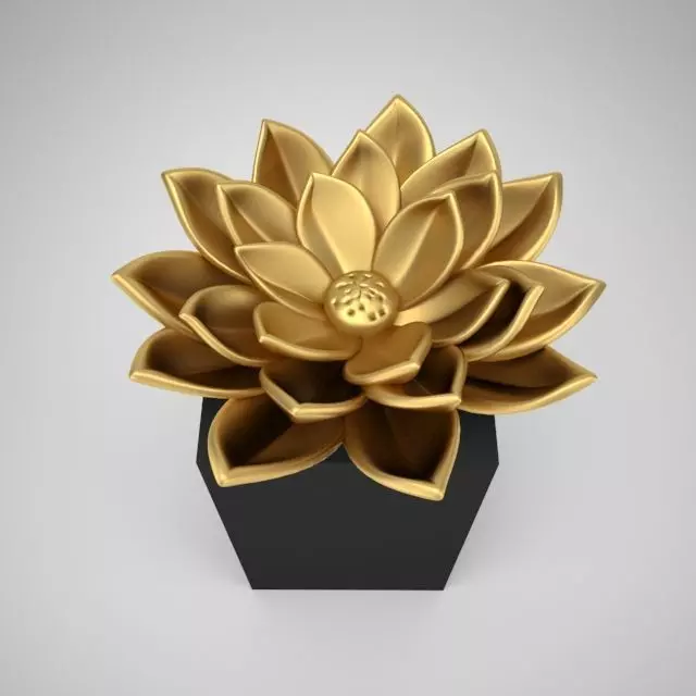 lotus flower Free 3D model