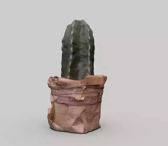 Cactus 3d Scan 3D model