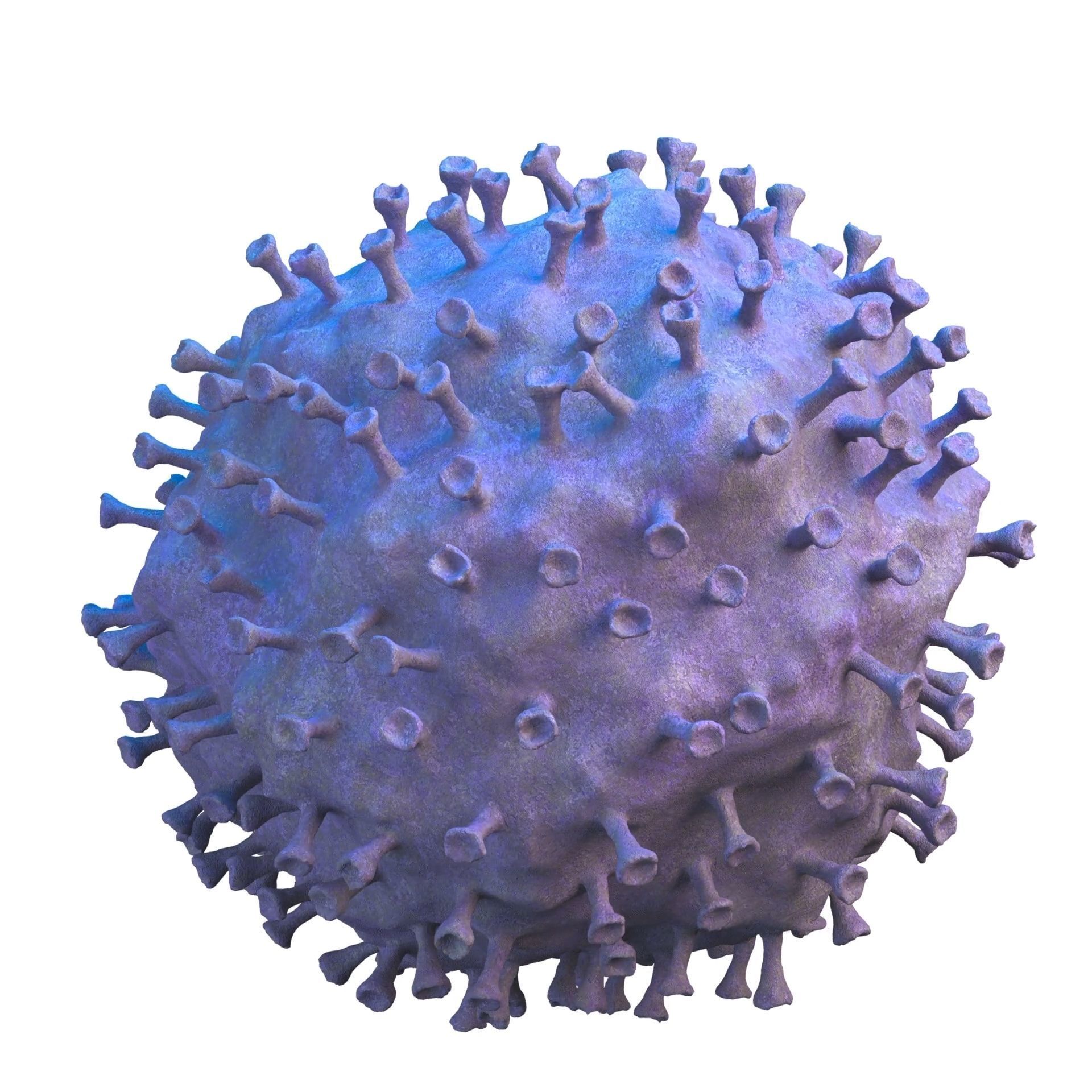 virus COVID 19 3D model_10