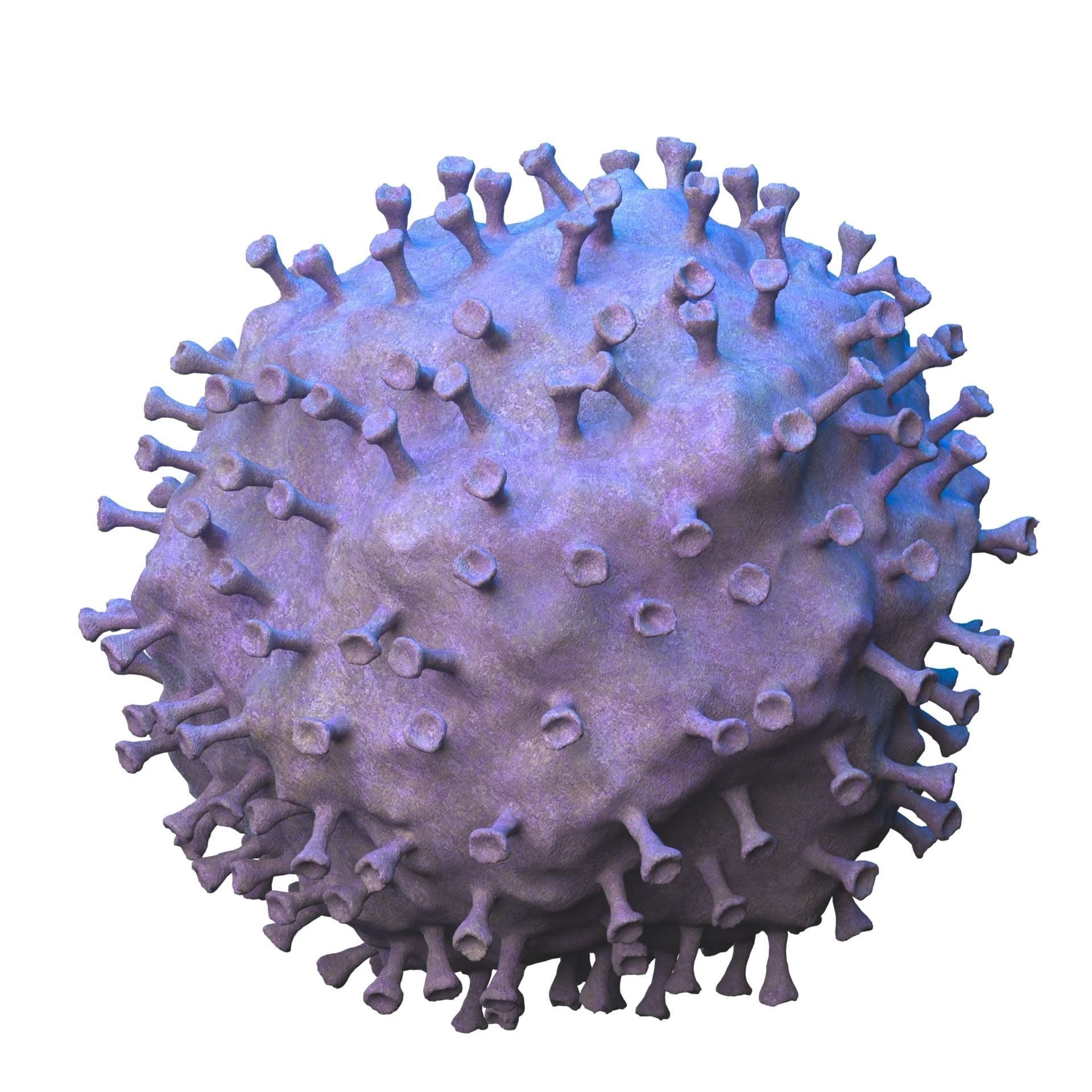 virus COVID 19 3D model_12