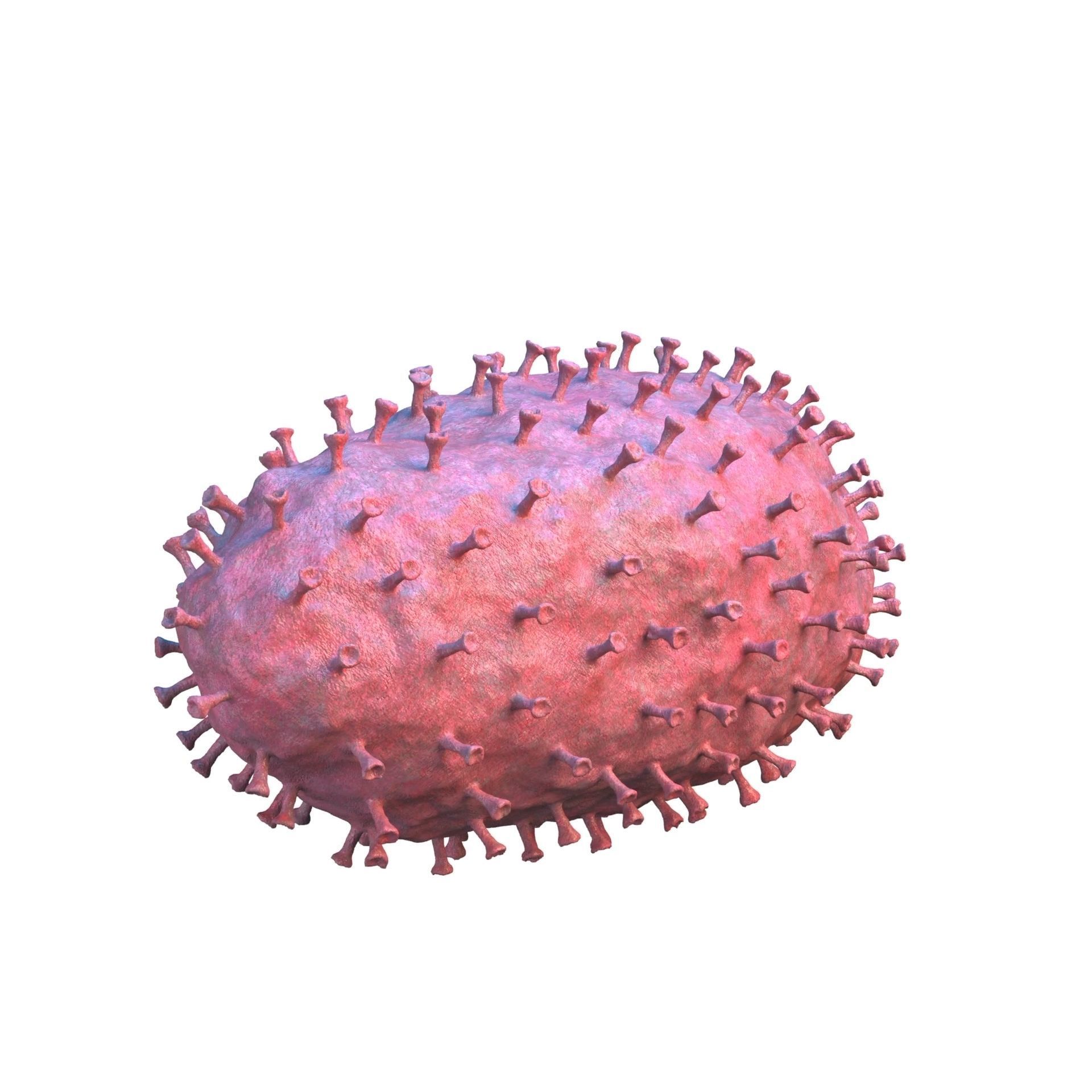 virus COVID 19 3D model_4