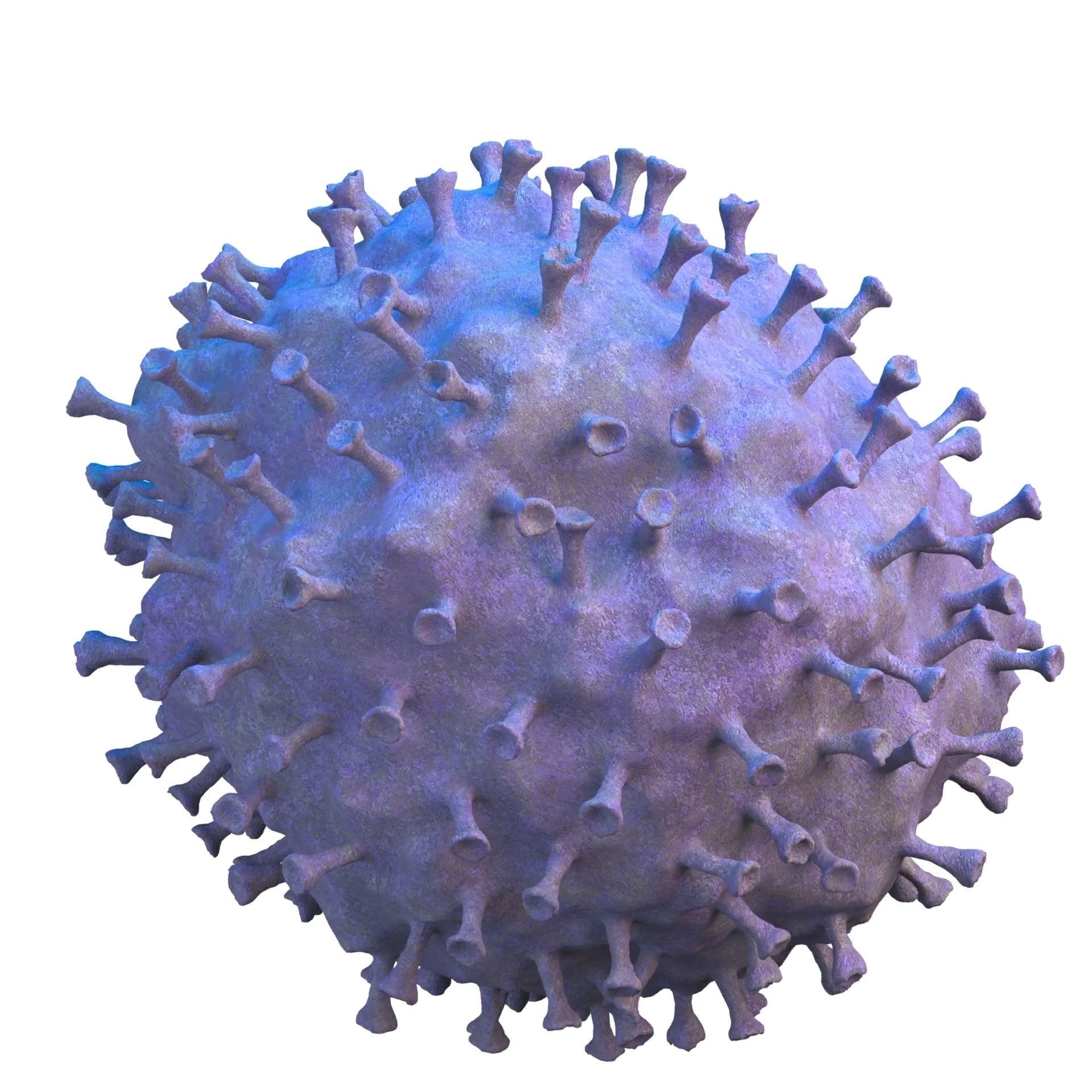 virus COVID 19 3D model_11