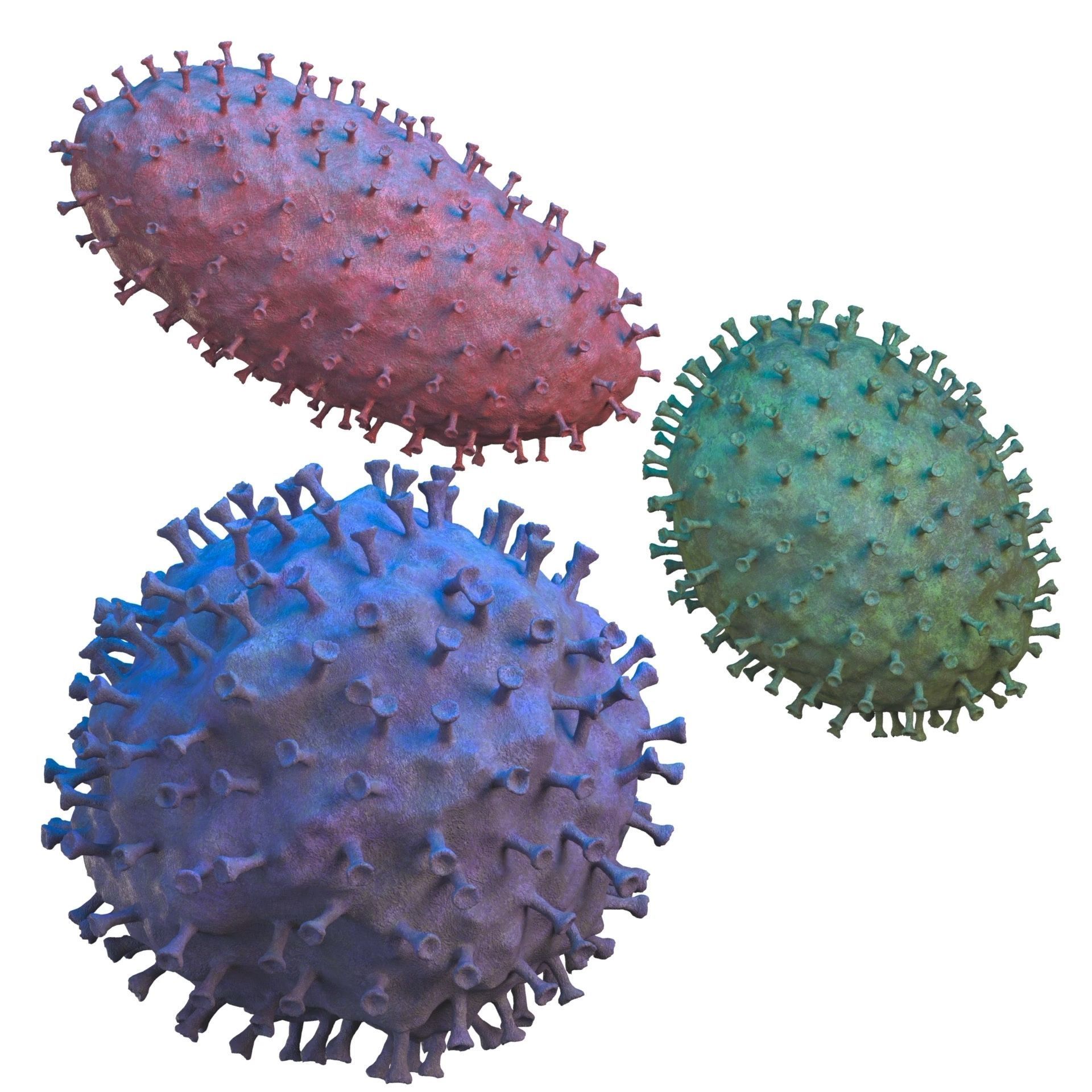virus COVID 19 3D model_13