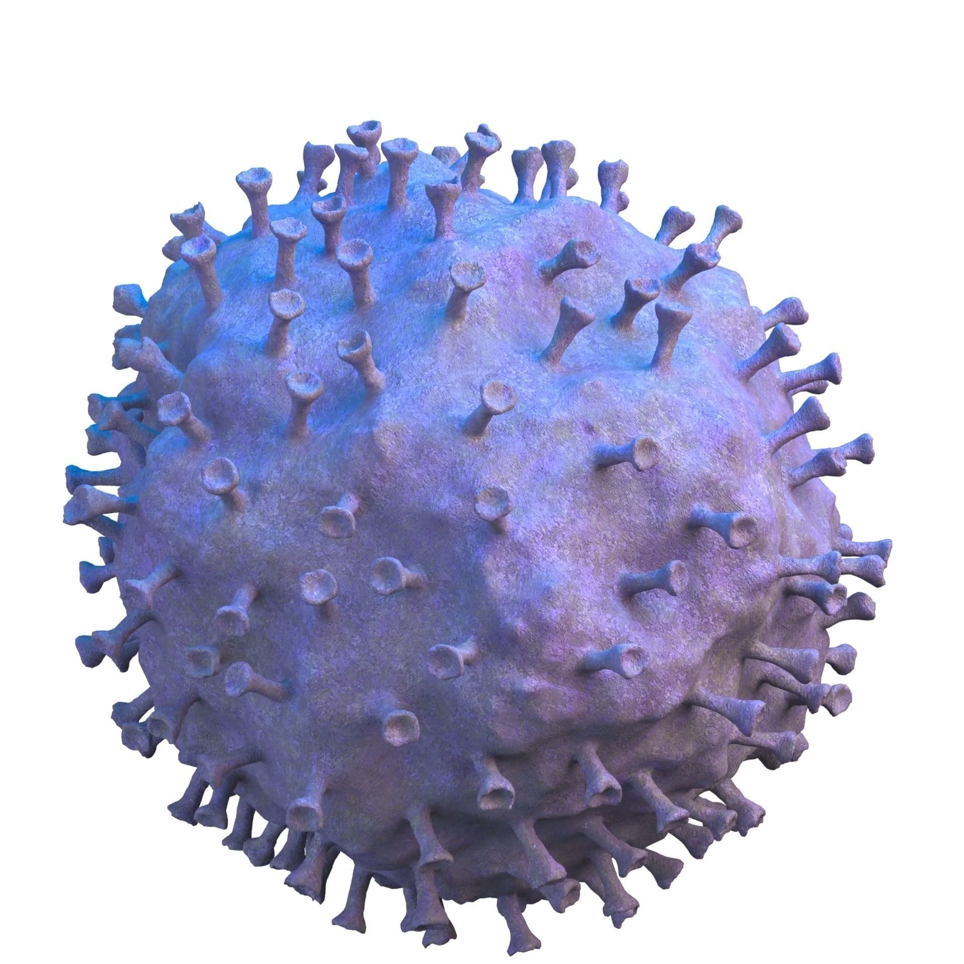 virus COVID 19 3D model_9