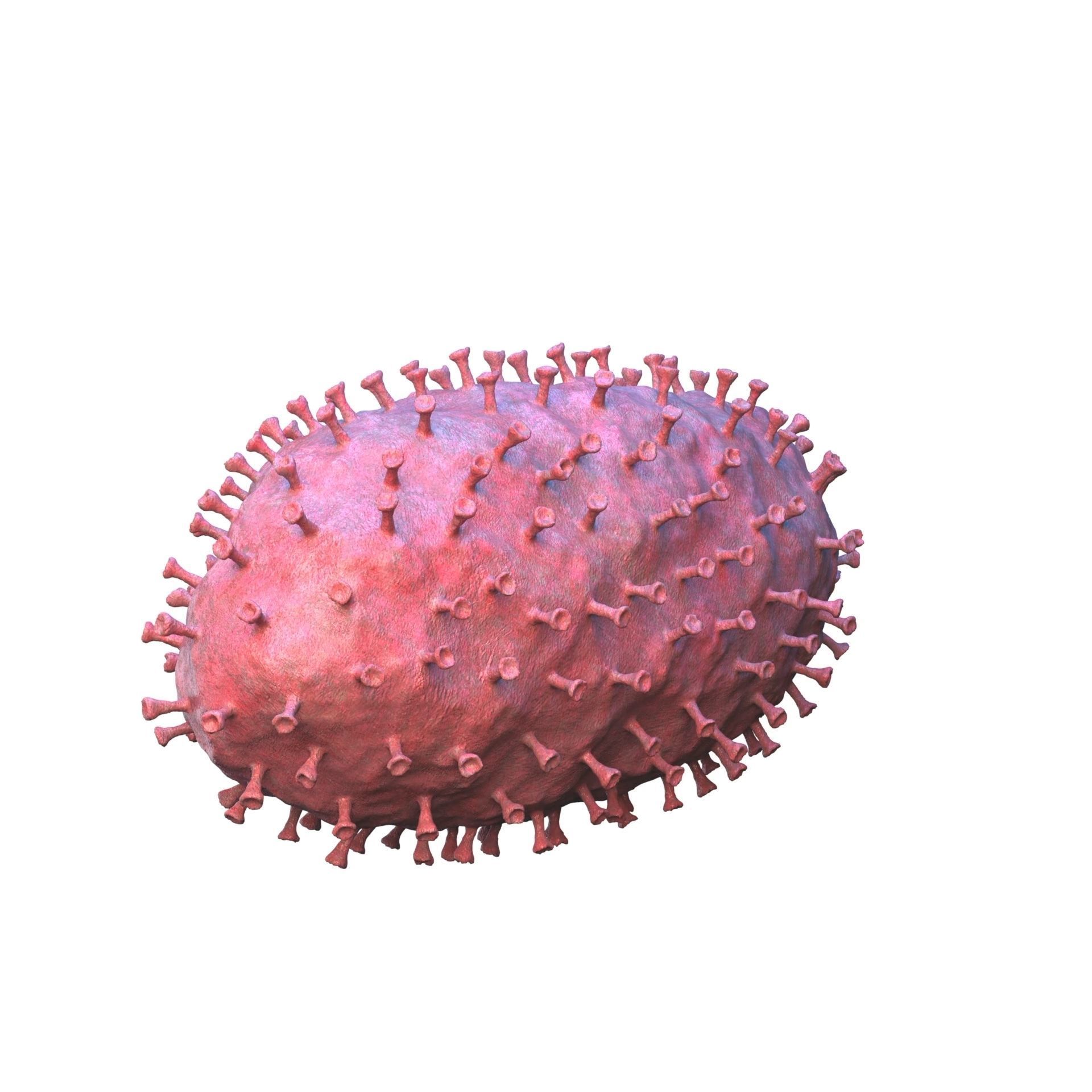 virus COVID 19 3D model_8