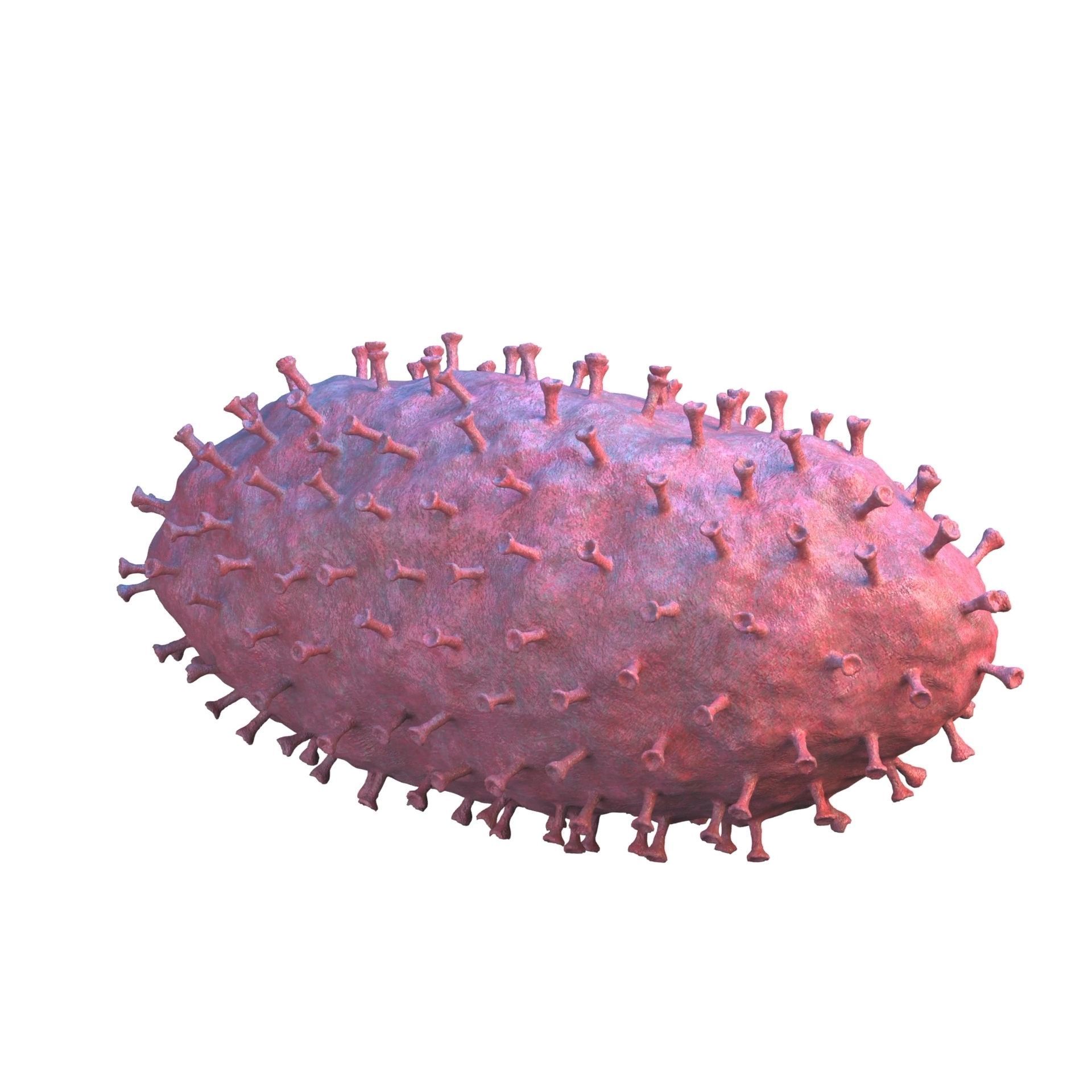 virus COVID 19 3D model_5