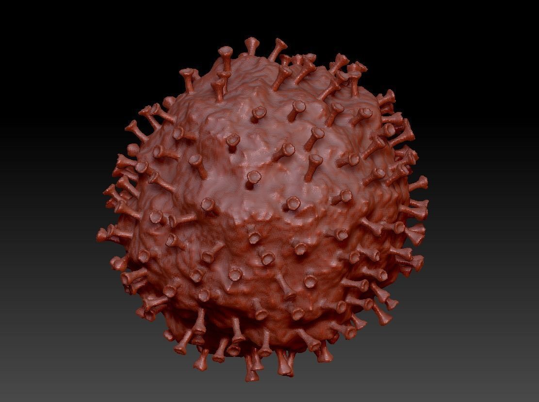 virus COVID 19 3D model_14