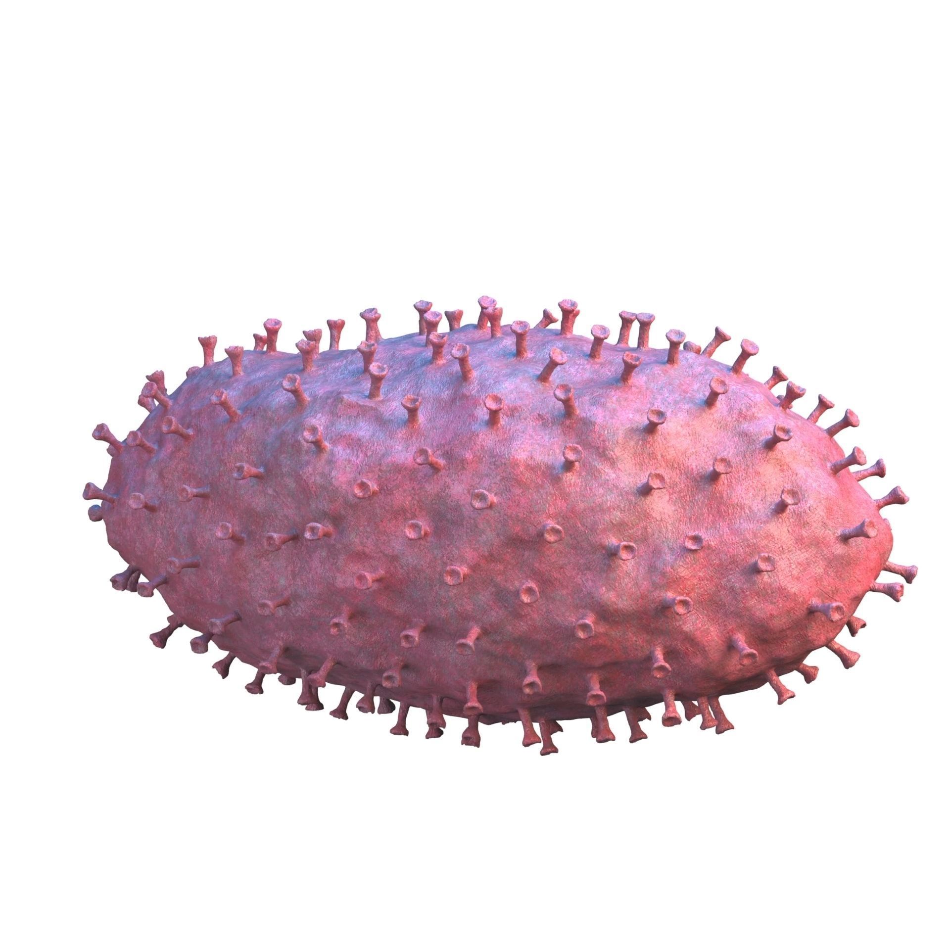 virus COVID 19 3D model_7