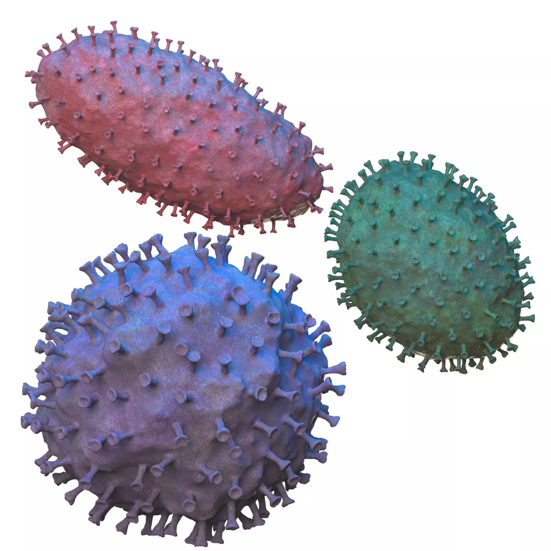 virus COVID 19 3D model_0