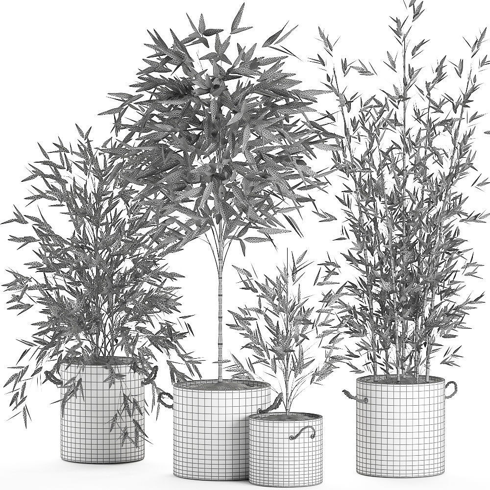 Bamboo bush for the interior in a black flowerpot 597 3D model_9