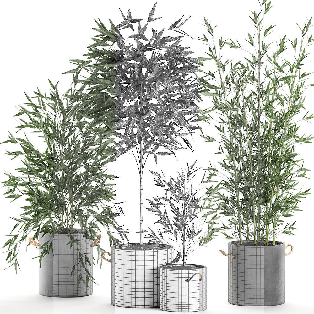 Bamboo bush for the interior in a black flowerpot 597 3D model_7