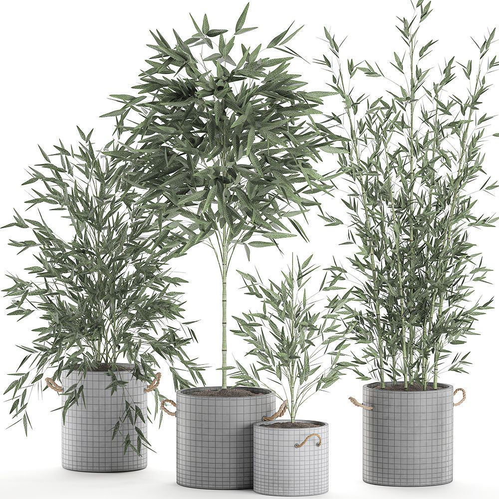 Bamboo bush for the interior in a black flowerpot 597 3D model_8