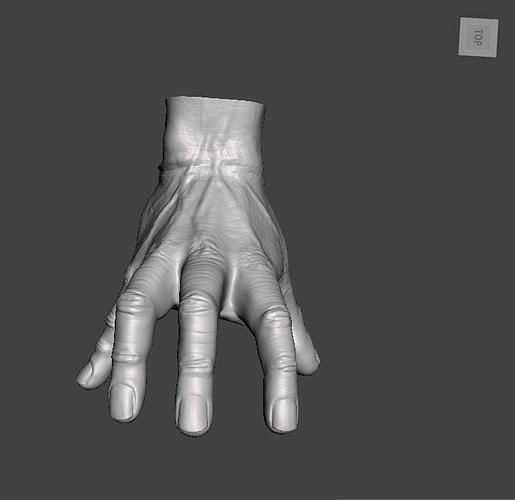 Realistic Hand 3D print model