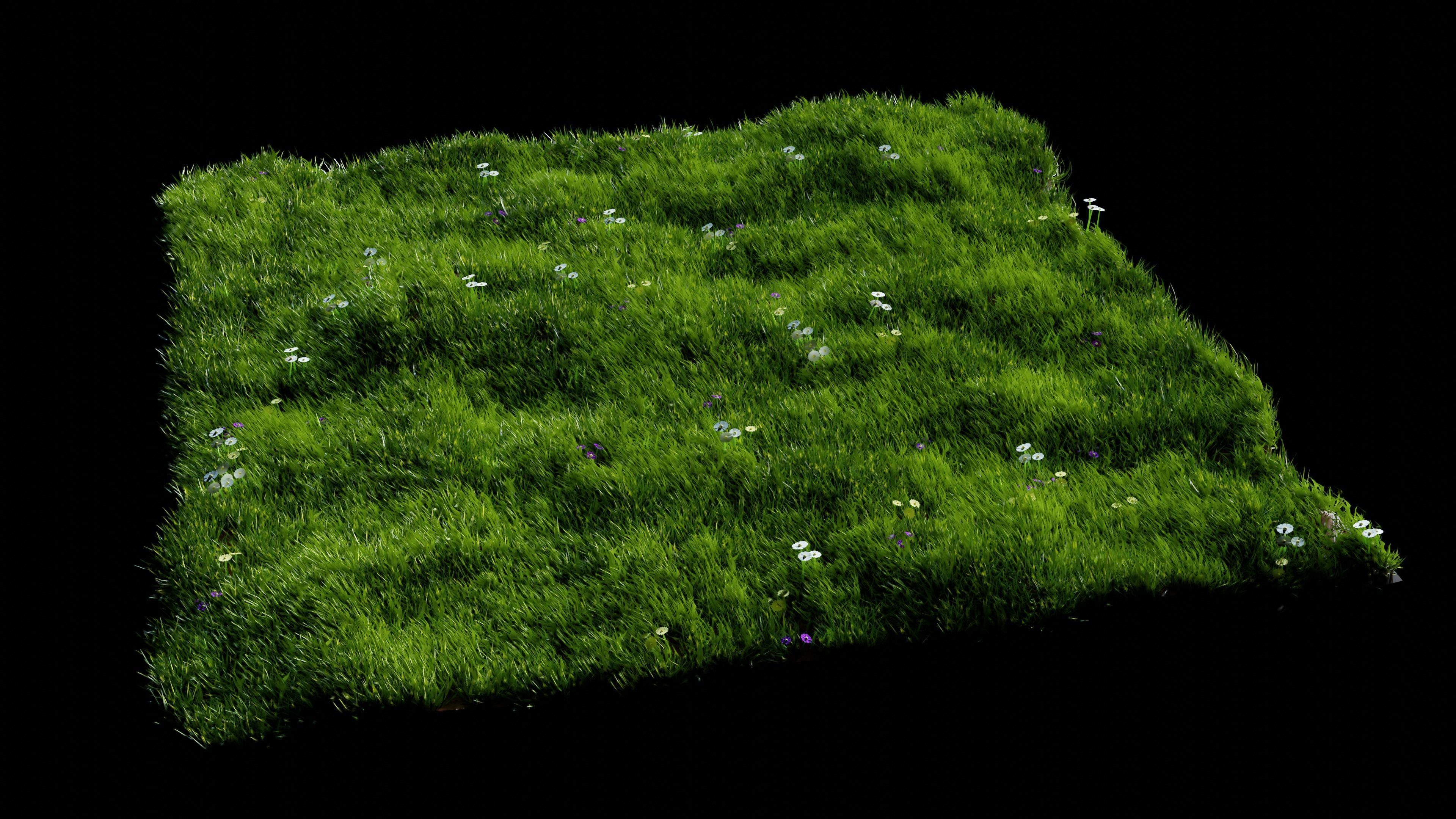 Grass Meadow 3D model_1