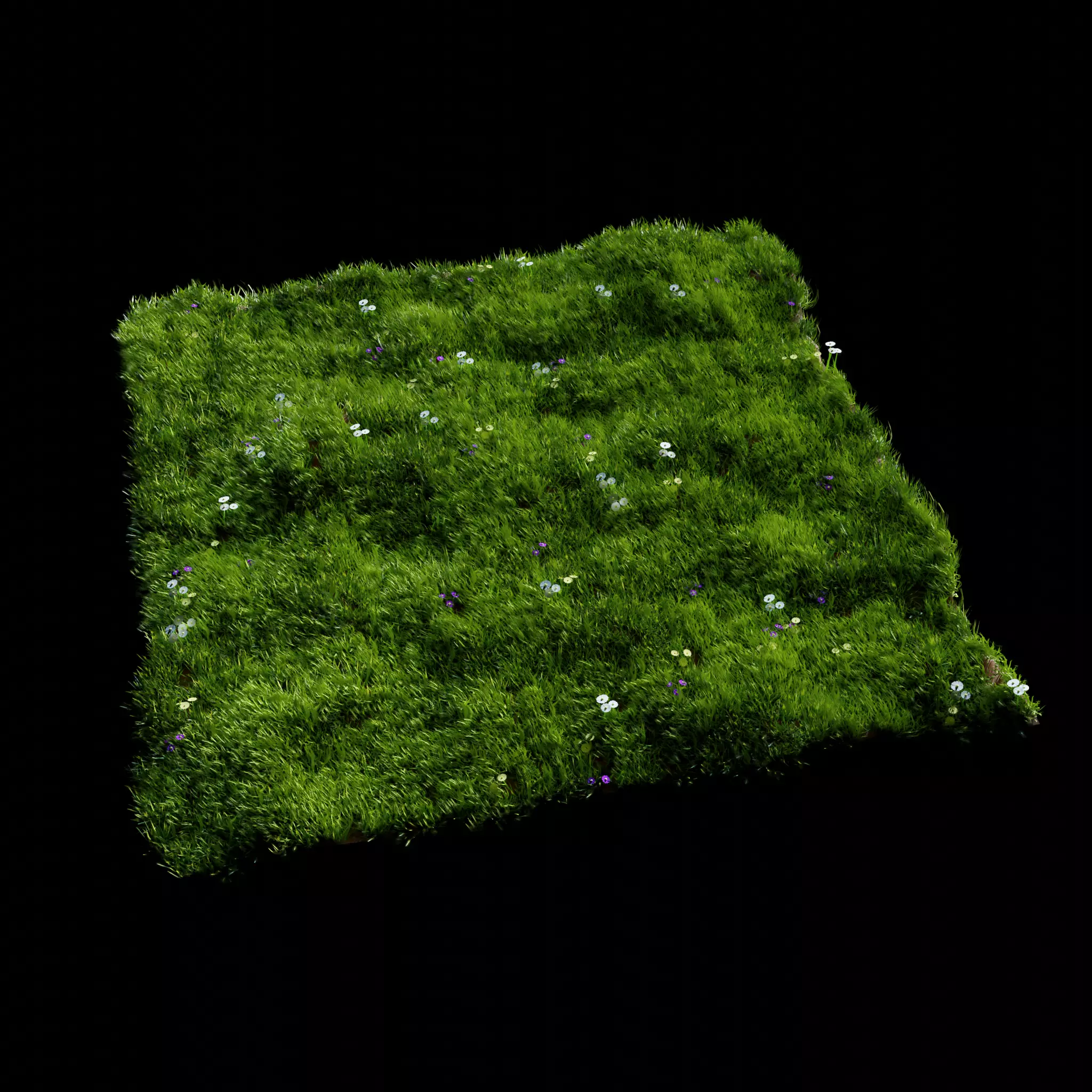 Grass Meadow 3D model_0