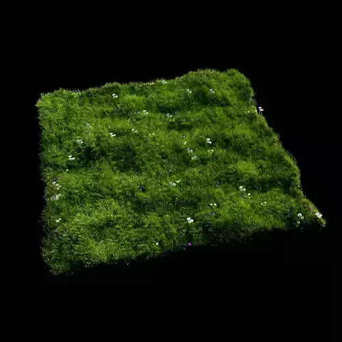 Grass Meadow 3D model