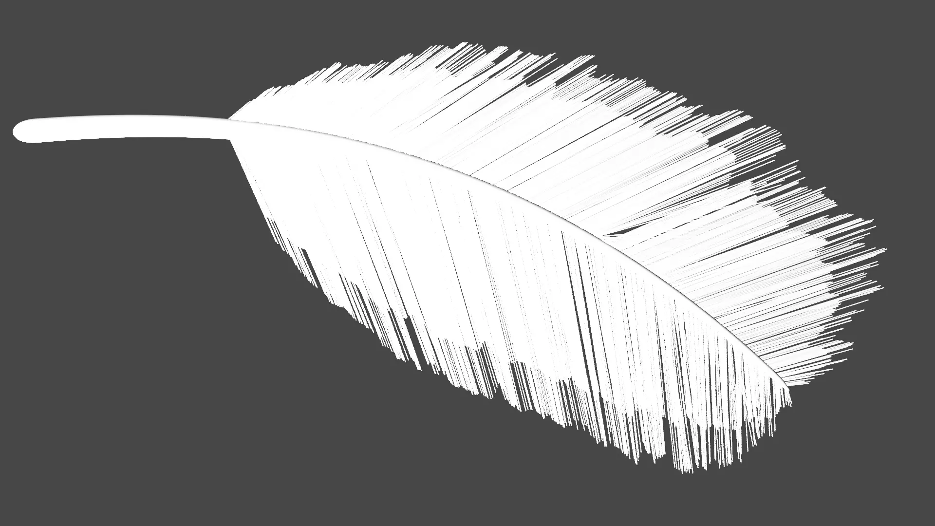 Feather 3D model_0