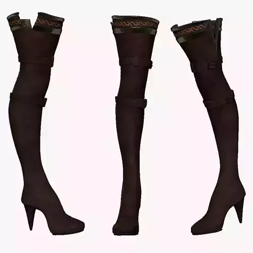Woman Long Leather Boot Sculpt