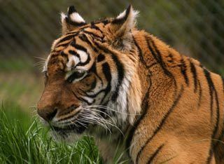 Living room 3D model_8