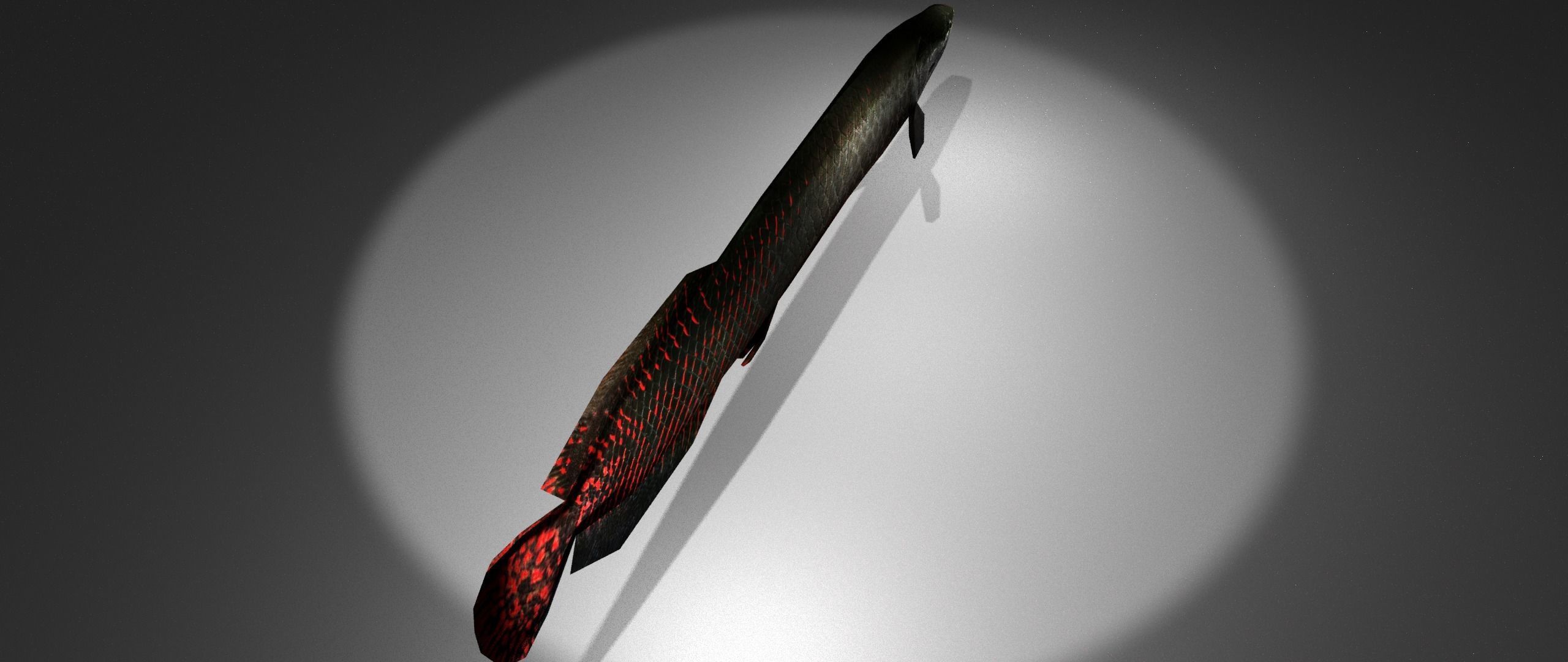 Arapaima fish with light shining Low-poly 3D model_3