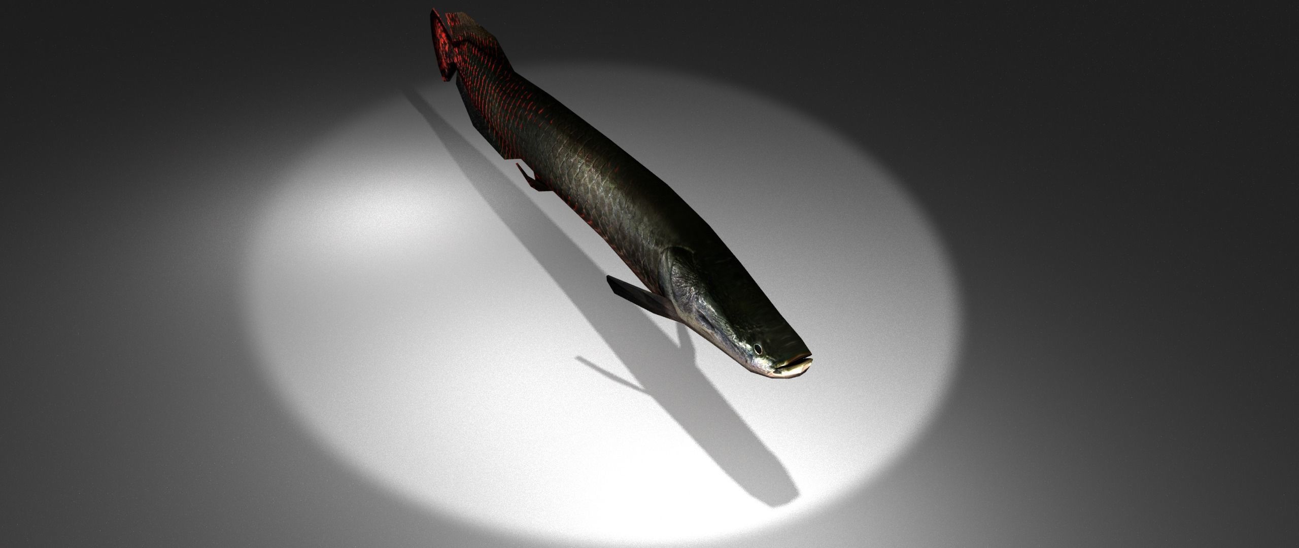 Arapaima fish with light shining Low-poly 3D model_2