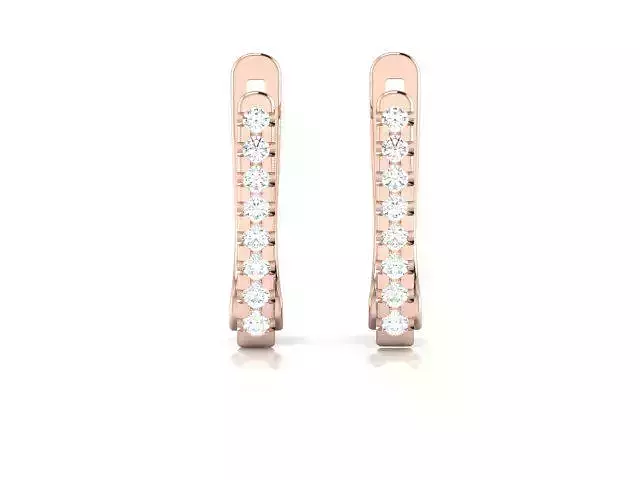 Women earrings 3dm render detail 