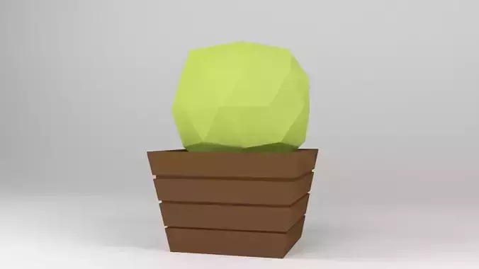 Low Poly Pot cactus in