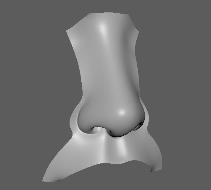 nose base mesh 3d model Low-poly 3D model_9
