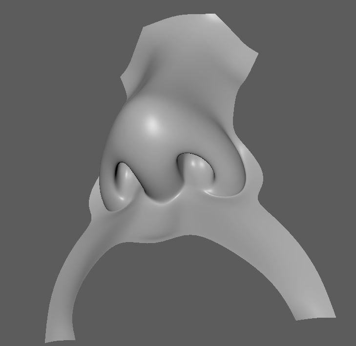 nose base mesh 3d model Low-poly 3D model_8