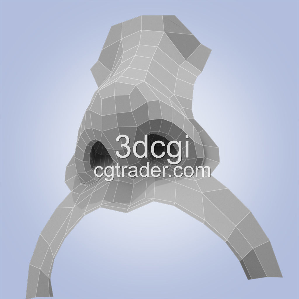 nose base mesh 3d model Low-poly 3D model_7