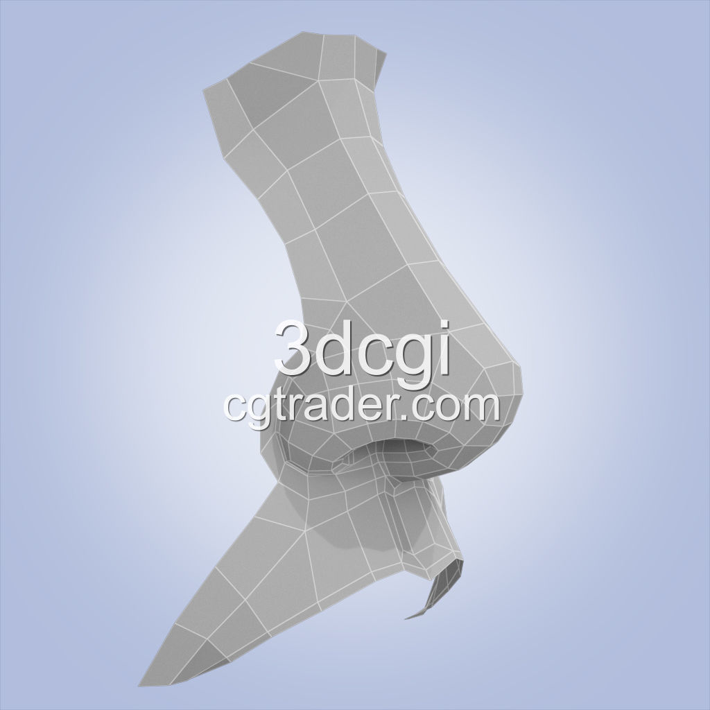 nose base mesh 3d model Low-poly 3D model_4