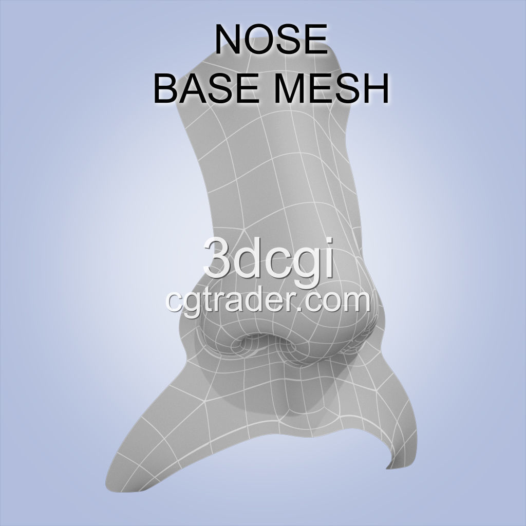 nose base mesh 3d model Low-poly 3D model_1