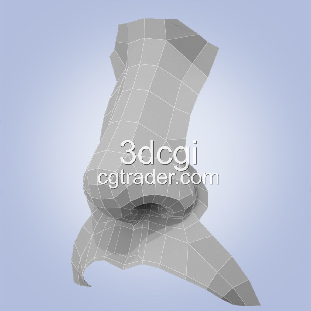 nose base mesh 3d model Low-poly 3D model_6