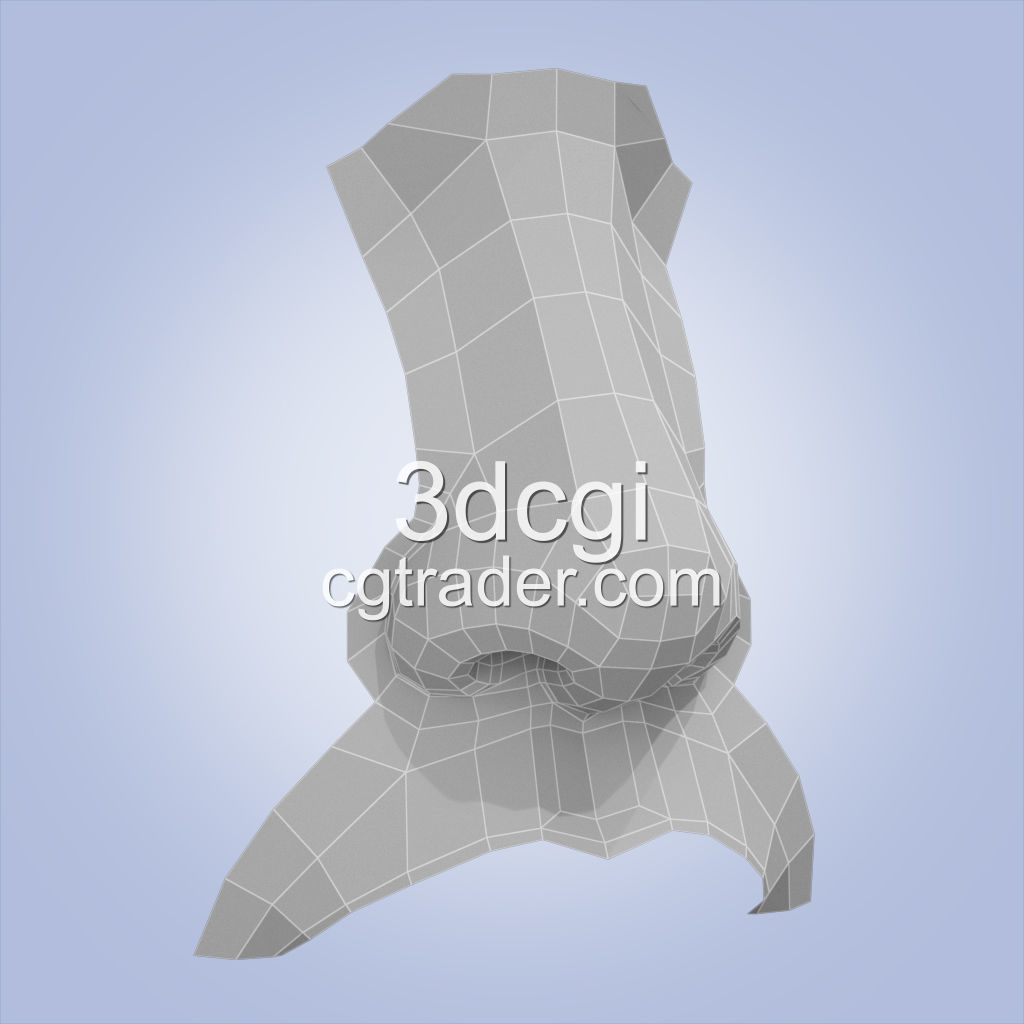 nose base mesh 3d model Low-poly 3D model_5