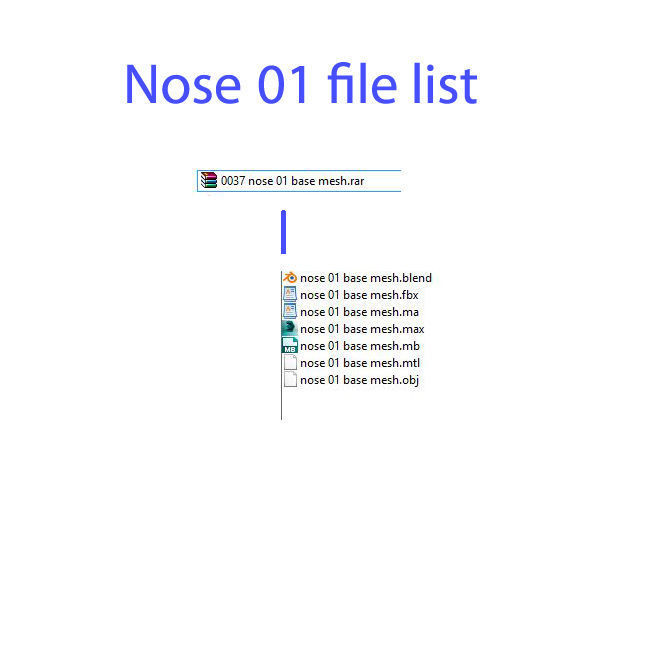 nose base mesh 3d model Low-poly 3D model_12