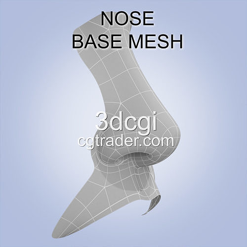 nose base mesh 3d model Low-poly 3D model