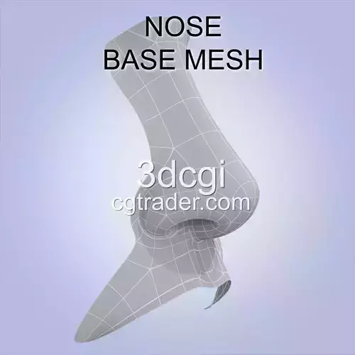 nose base mesh 3d model