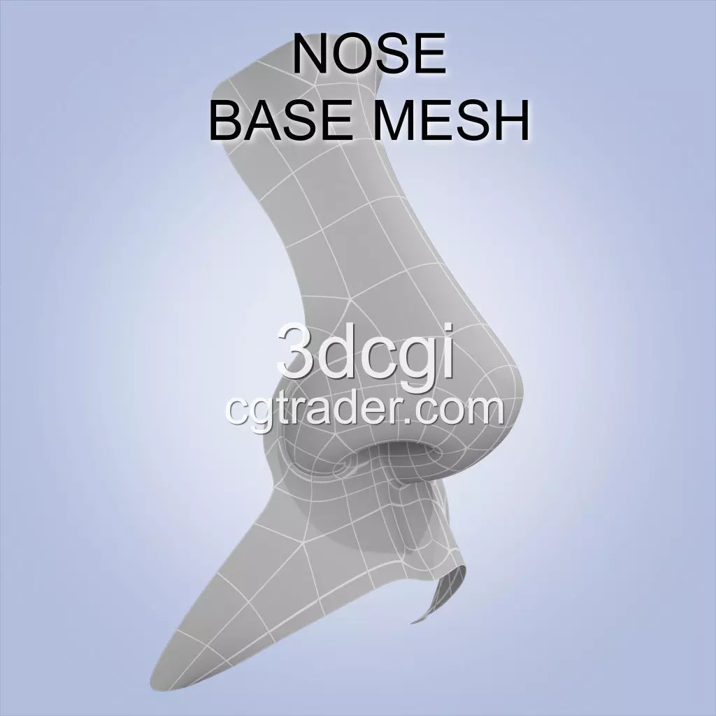 nose base mesh 3d model Low-poly 3D model_0