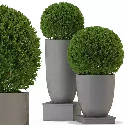 Plants collection 327