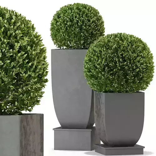 Plants collection 328