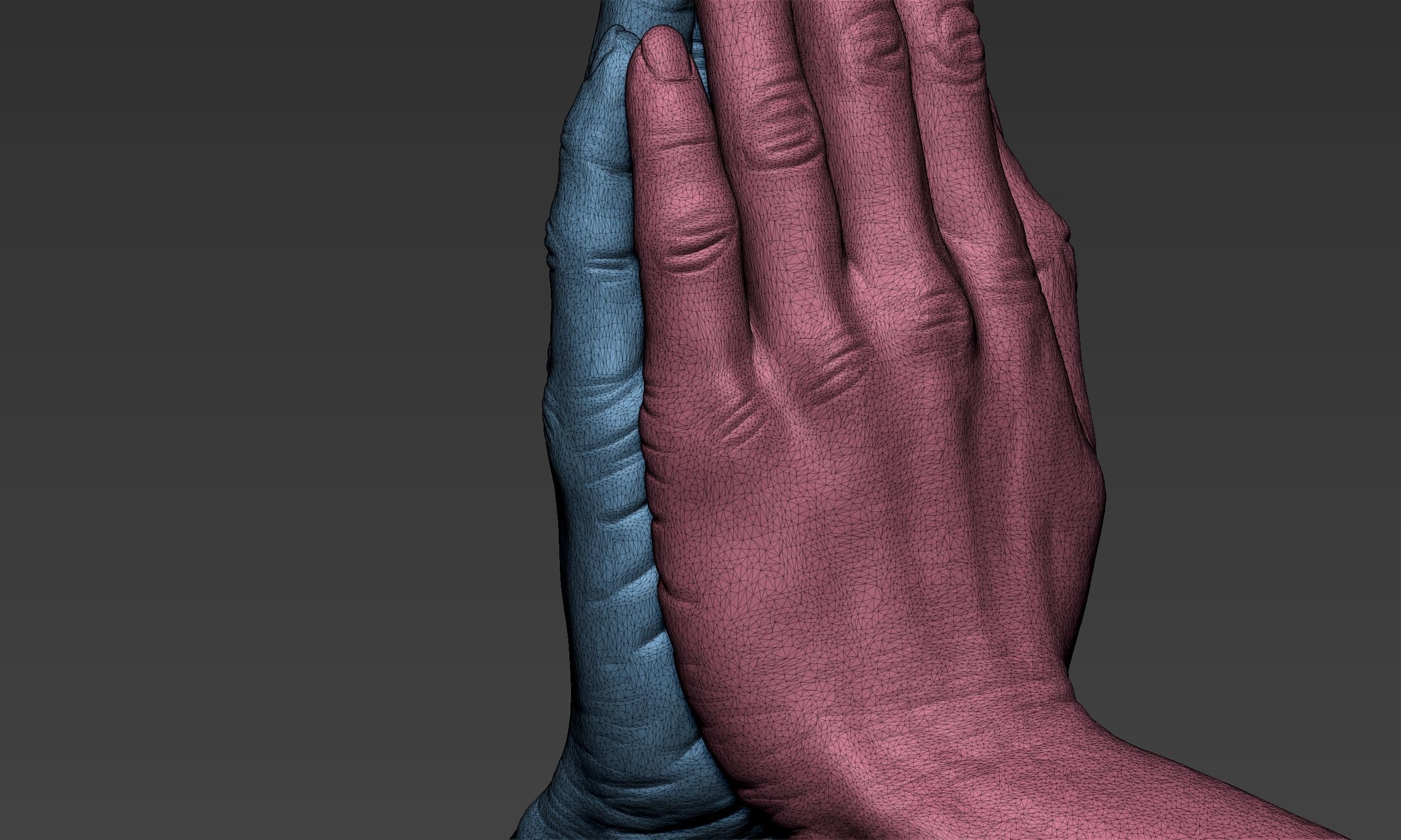 Female hand Amen pose Free 3D model_11
