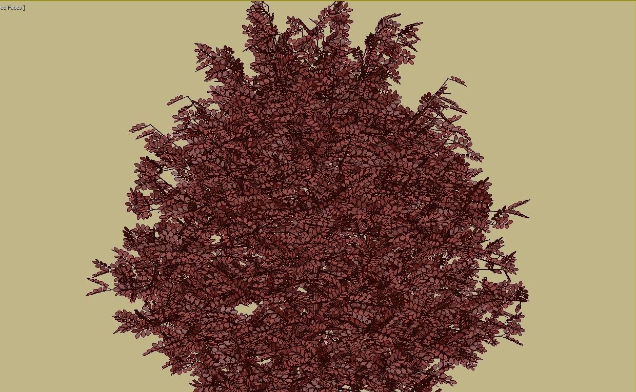 Black House Blues 3D model_28