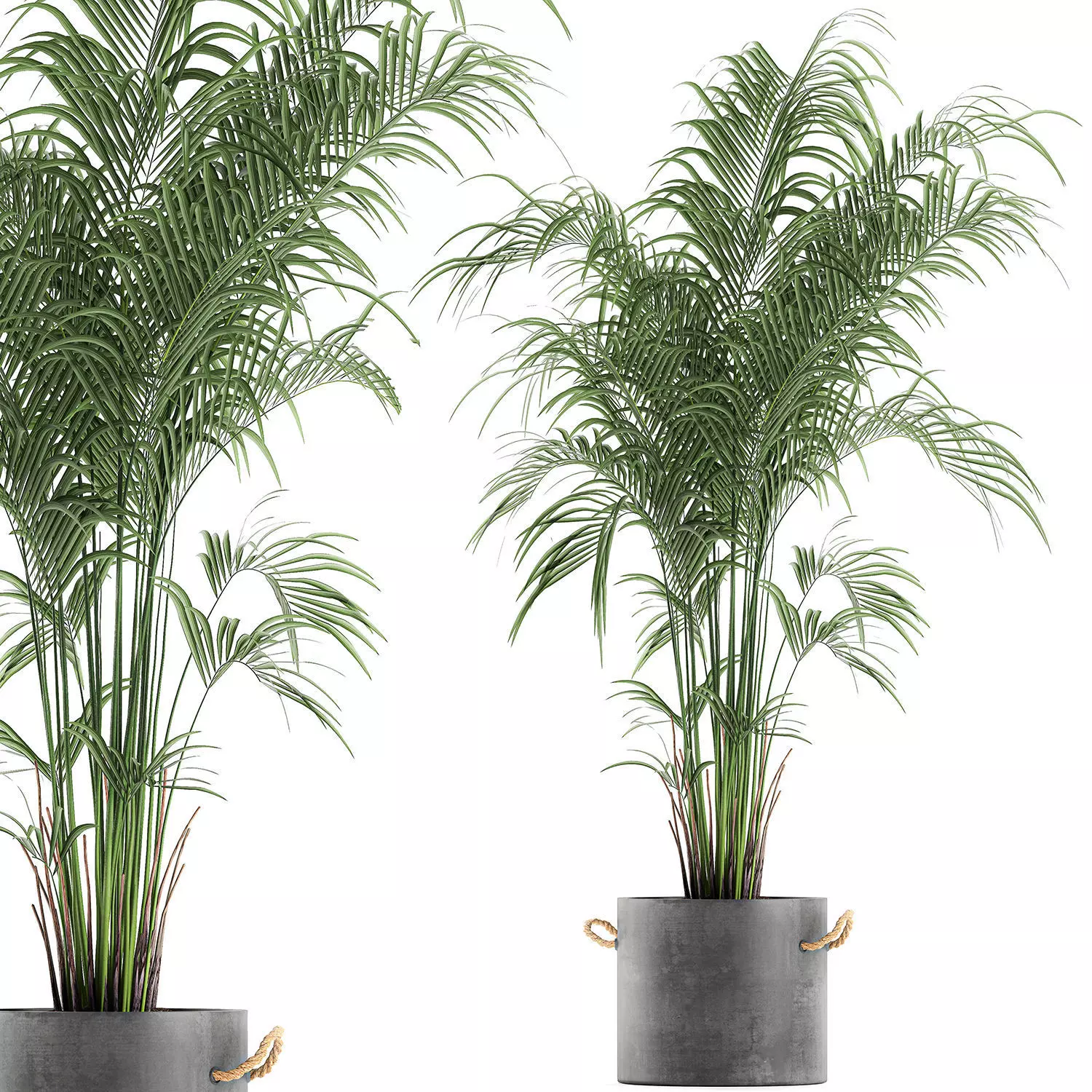 Decorative palm in a flowerpot 599 3D model