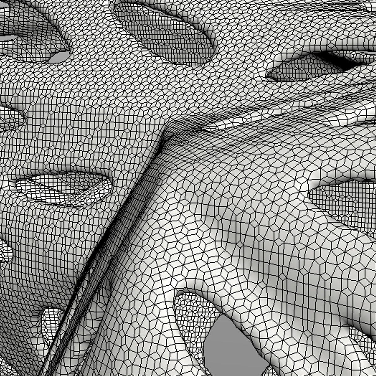 3D PRINTED MODEL T-REX-5-PATTERN-DESIGN 3D print model_47