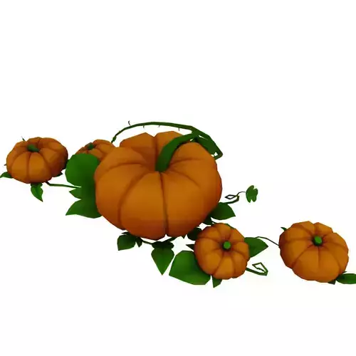 Pumpkin pumpkins
