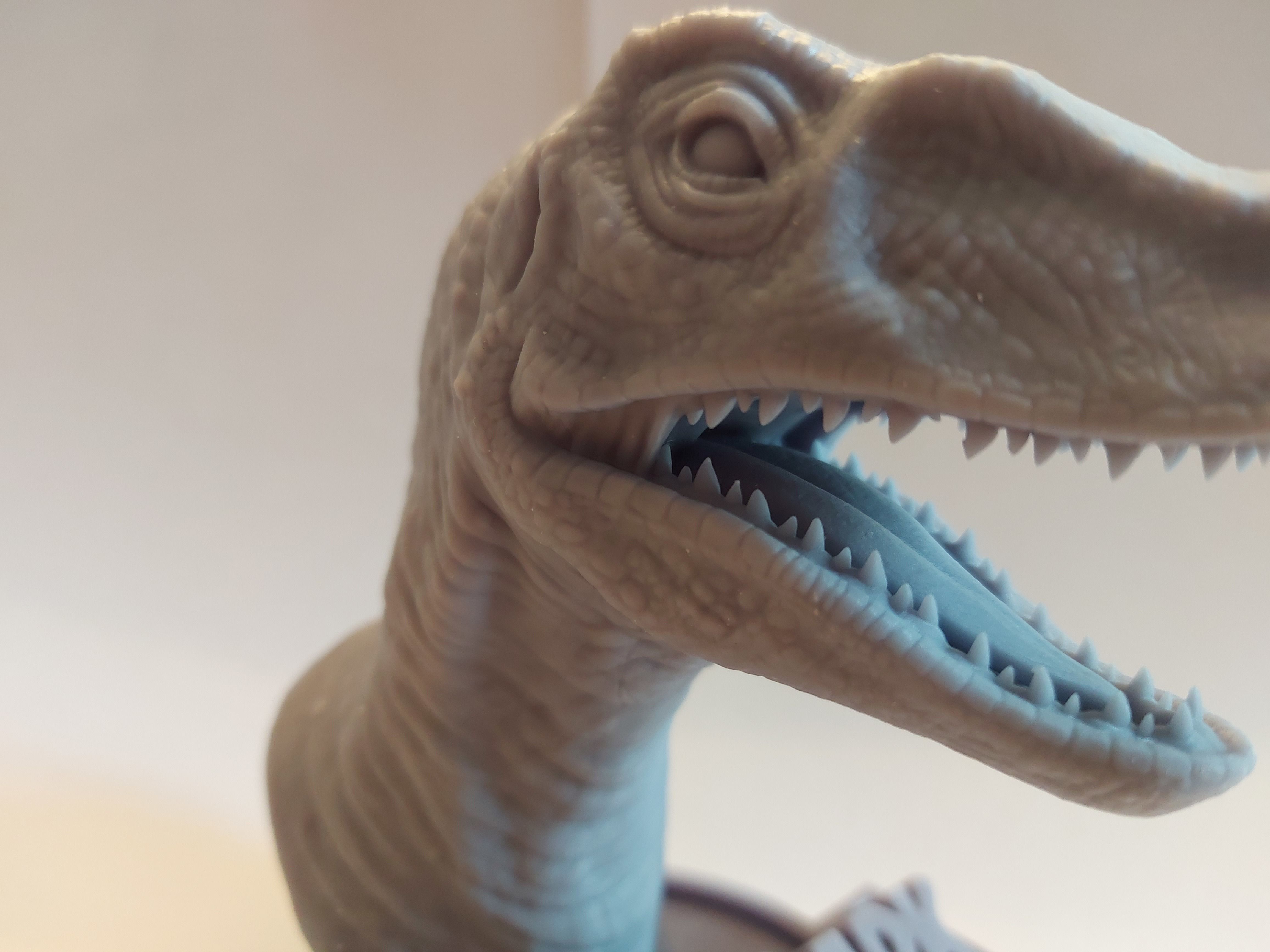 Pre-supported raptor 3D print model_4