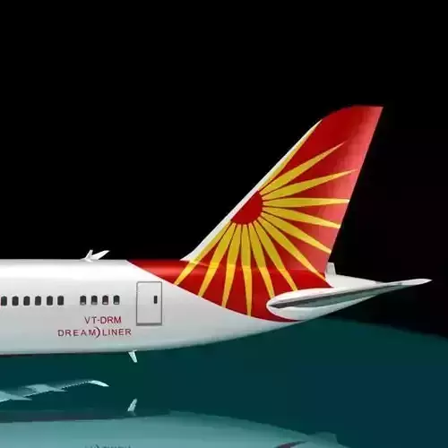 Air India 787 - 8 Dreamliner 3D model
